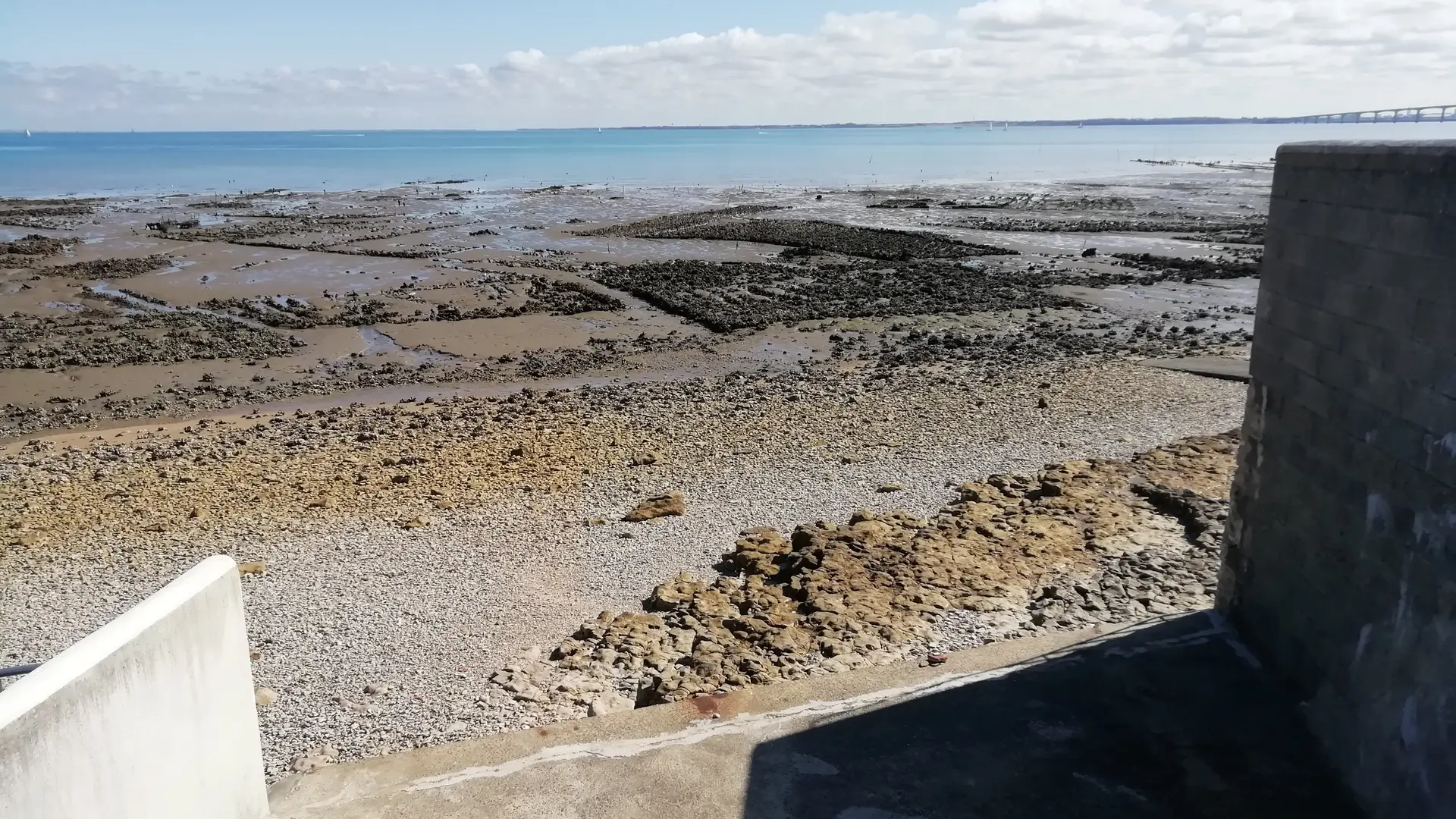 Marée basse, anciens parcs à huîtres