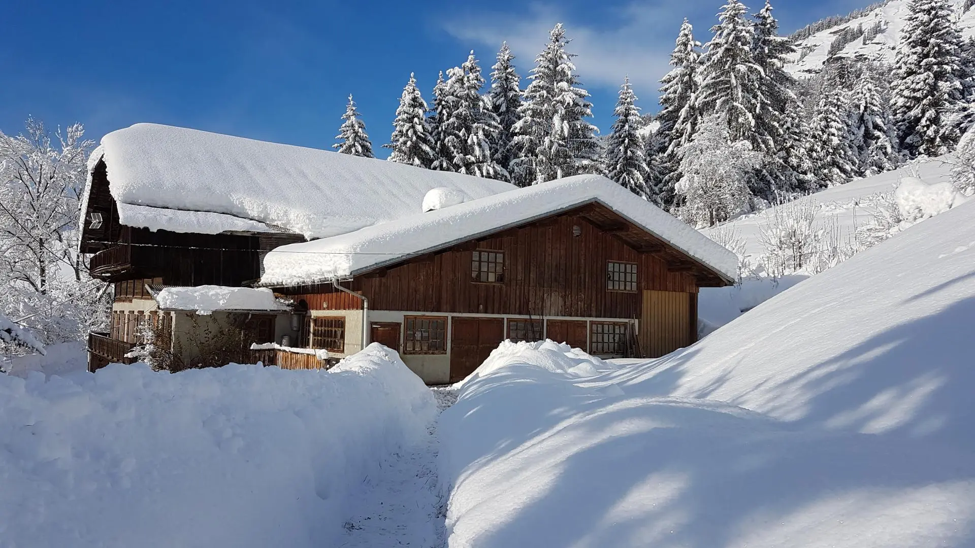 l'écurie ou logent mes anes l'hiver