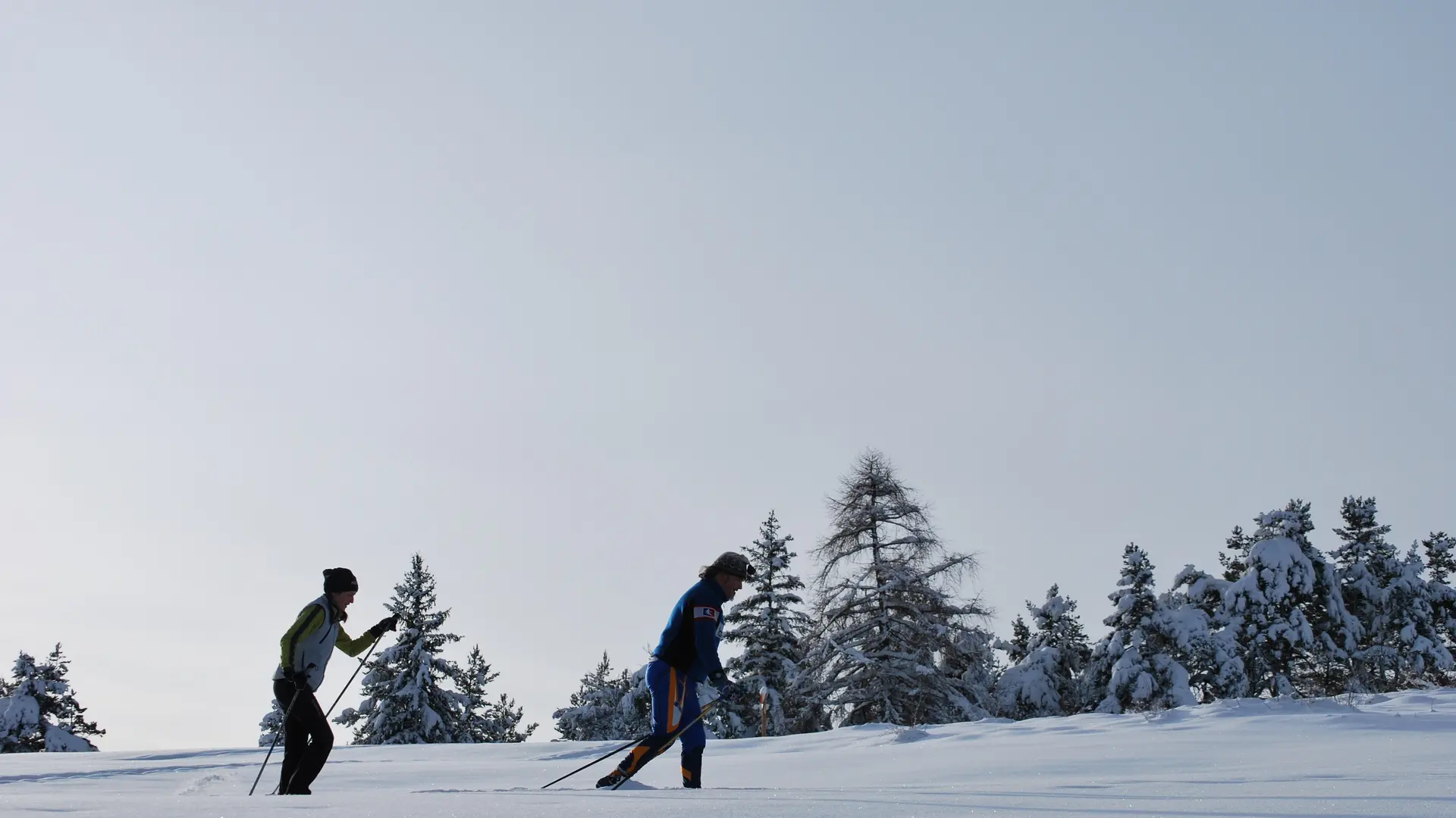 Ski de fond