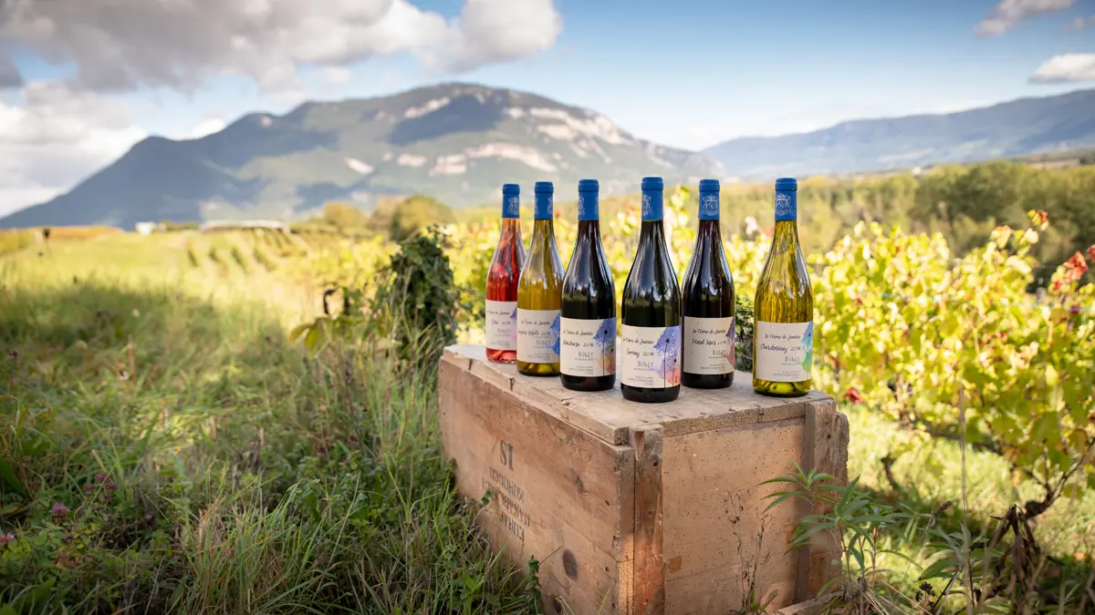 Gamme de vins du Bugey
