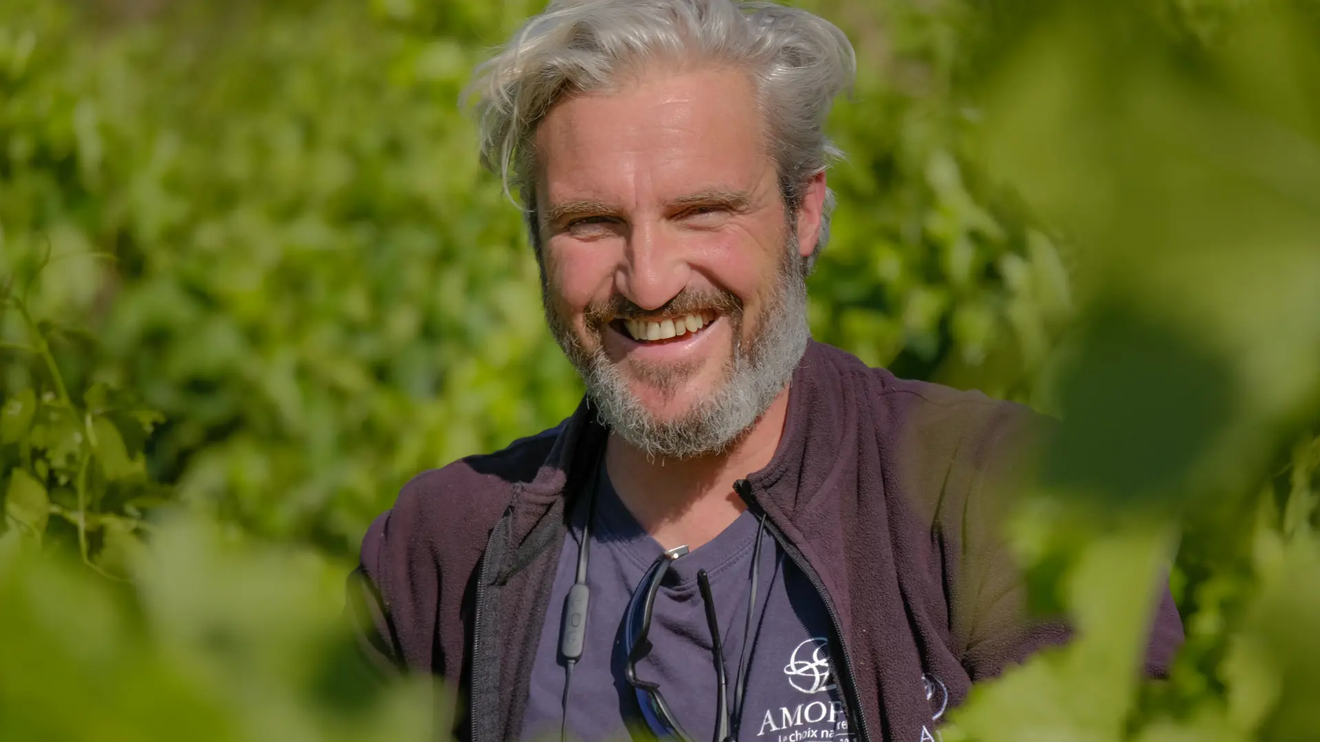 Thomas à la vigne