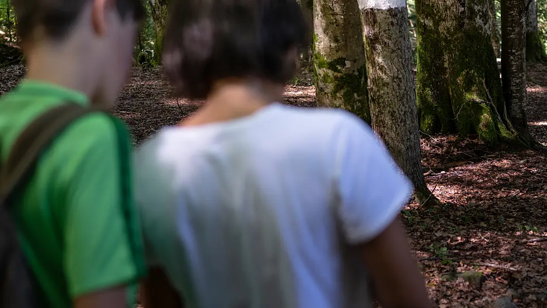 escape game nature 3