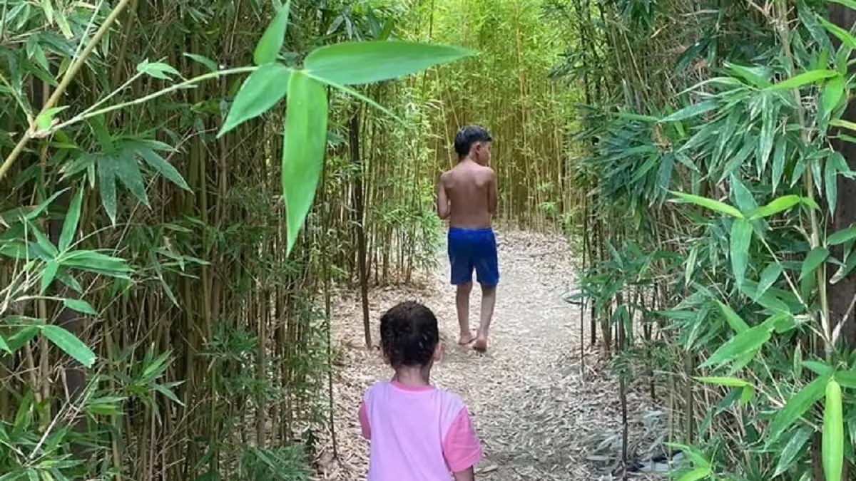 Enfants dans le labyrinthe