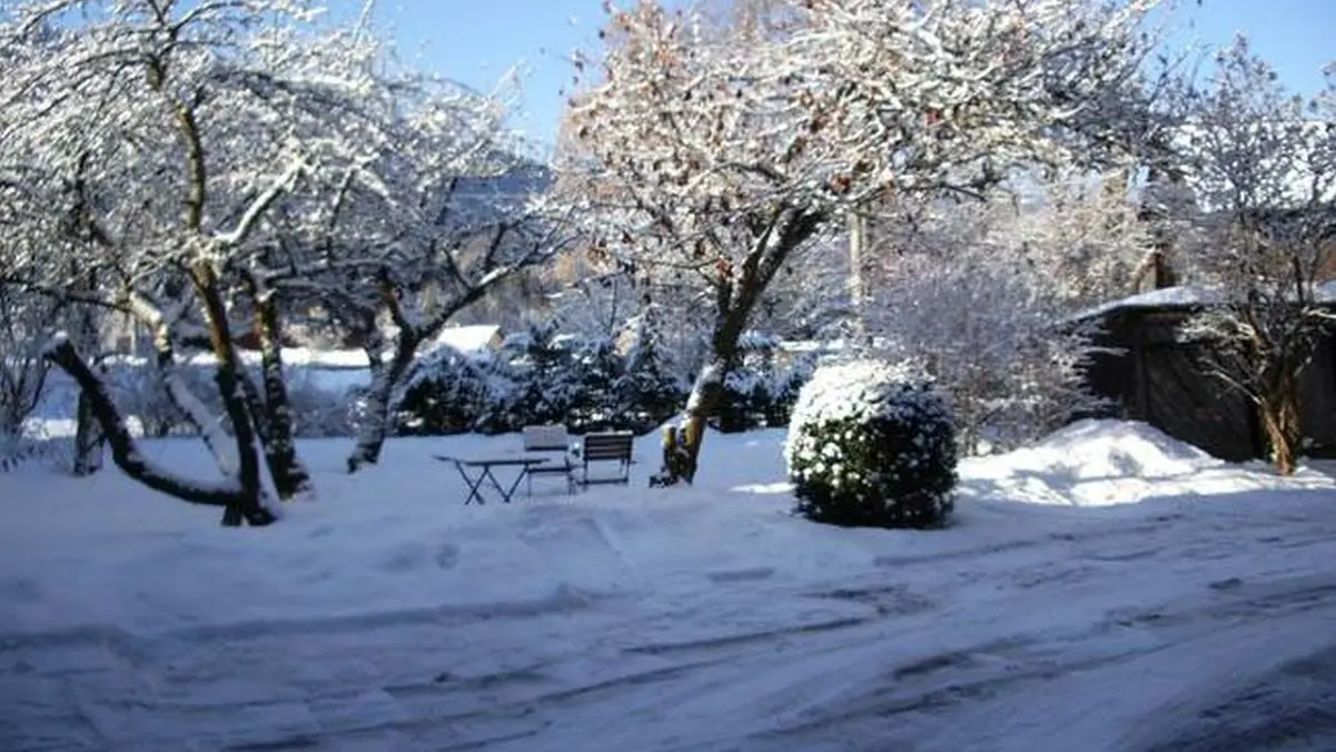 Jardin hiver