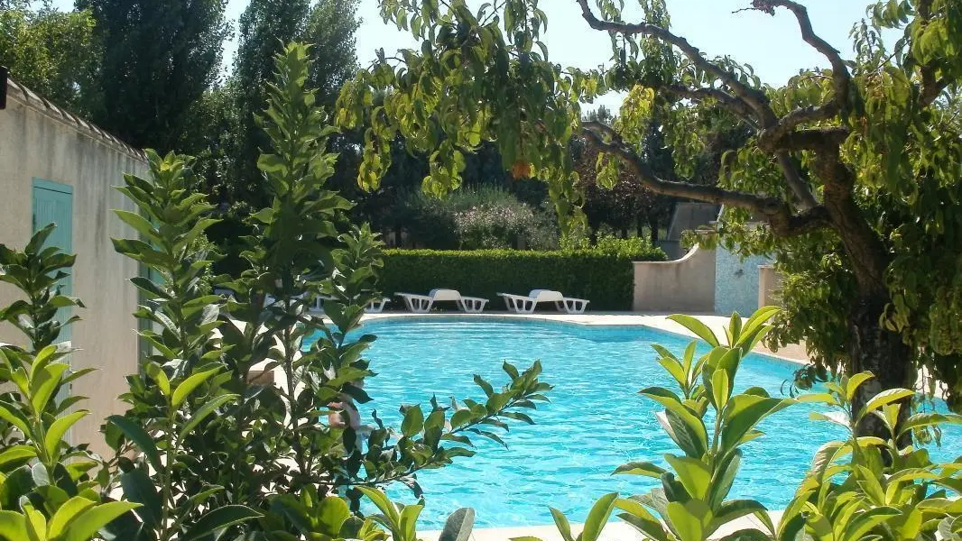 Photo_3