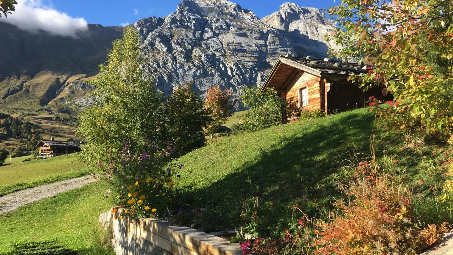 Terrasse face aux montagnes