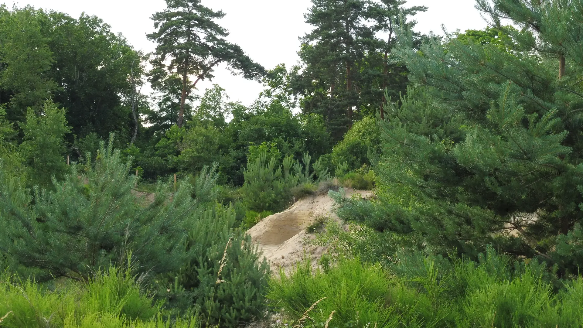 Dunes de Gurauds-Faures