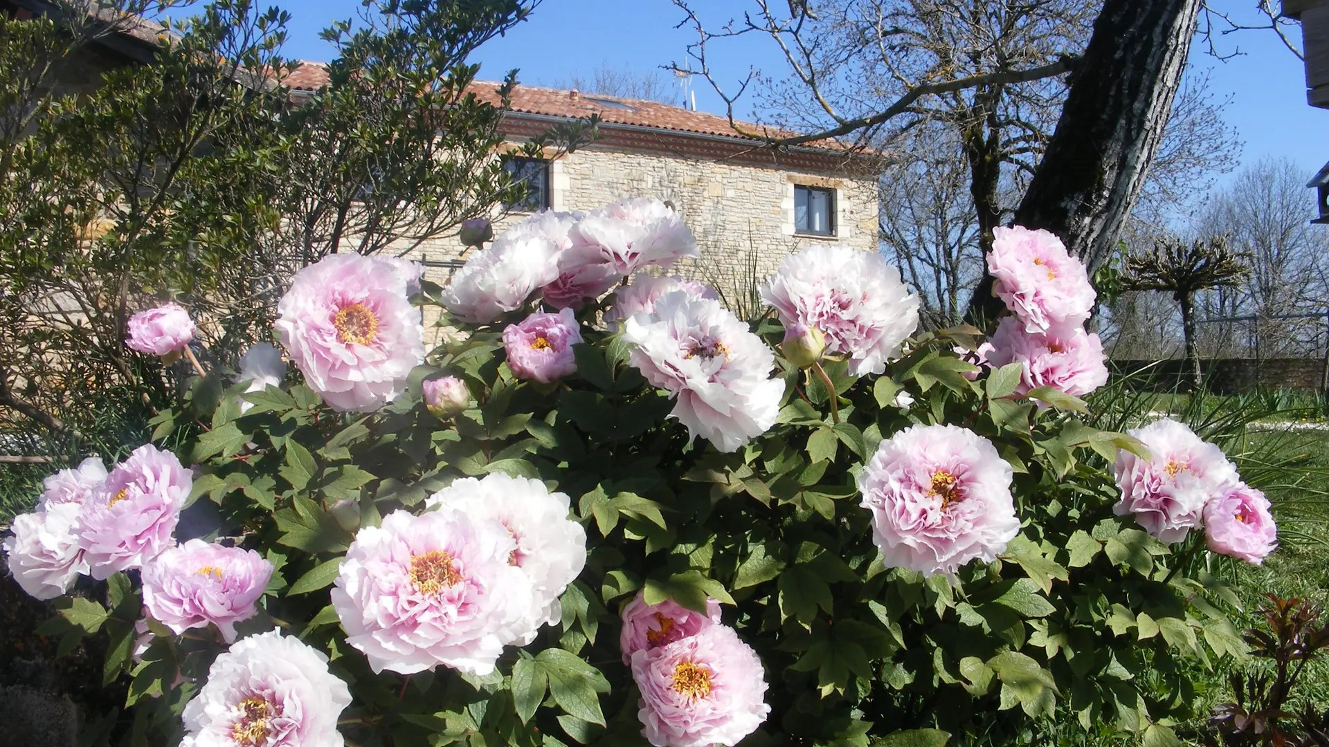Un printemps comme les autres à LOU PAPAGAI