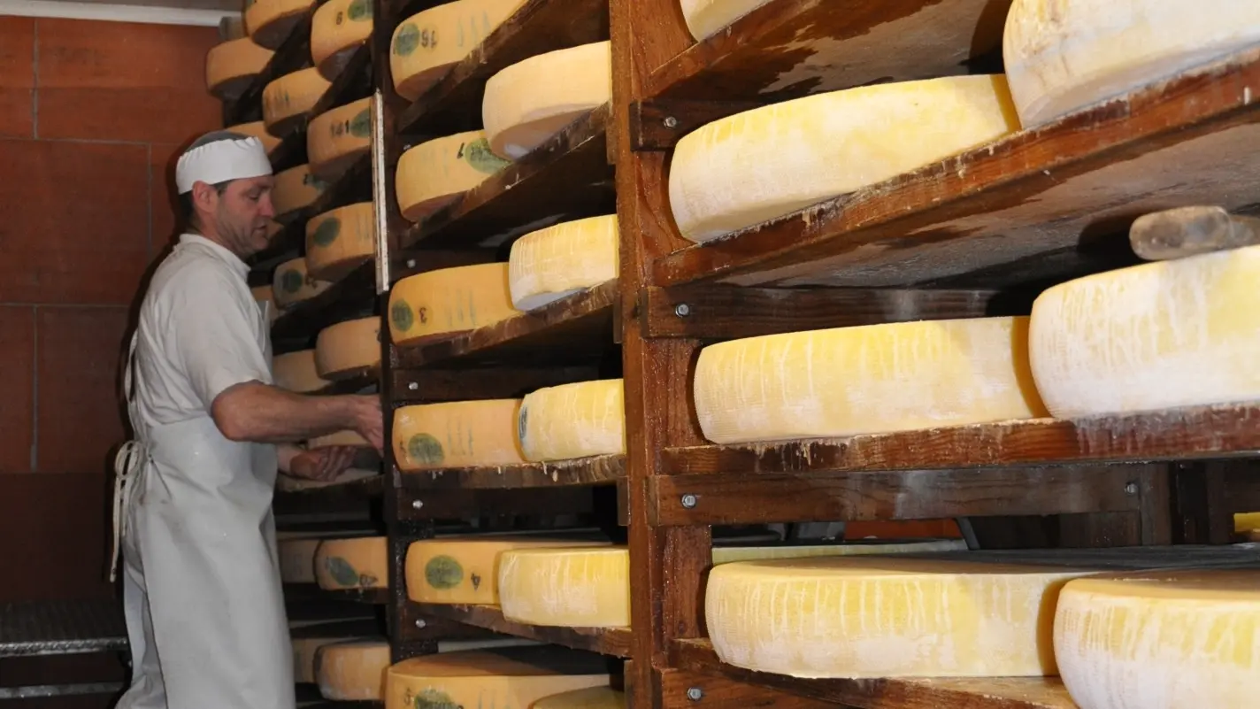 Les meules de comté