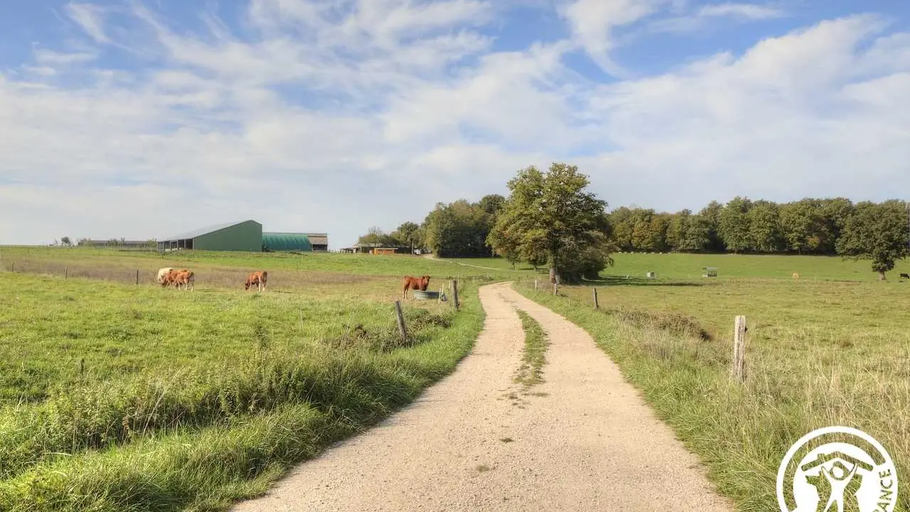 Chemin privé qui mène directement à la roulotte