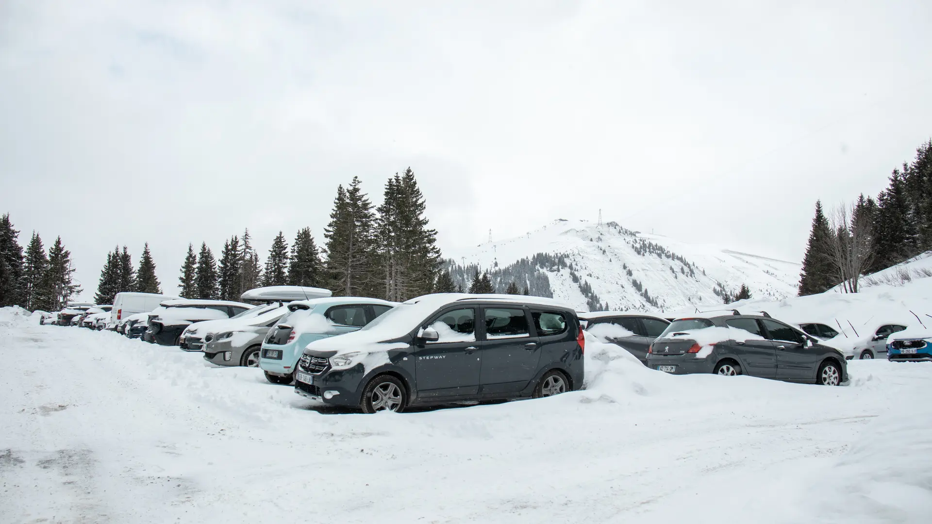 Rangées de voitures dans le parking gratuit