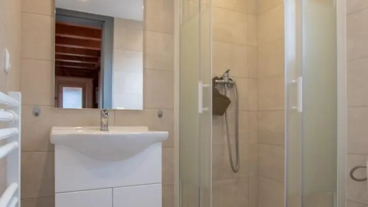 Salle d'eau au niveau de la pièce de vie.