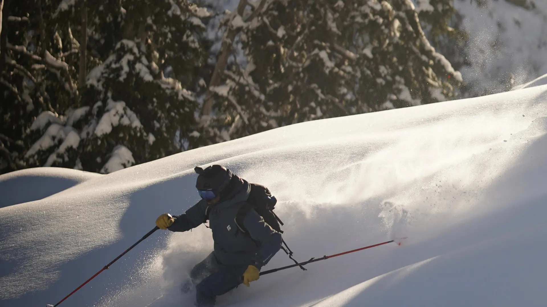 Skieur dans la poudreuse