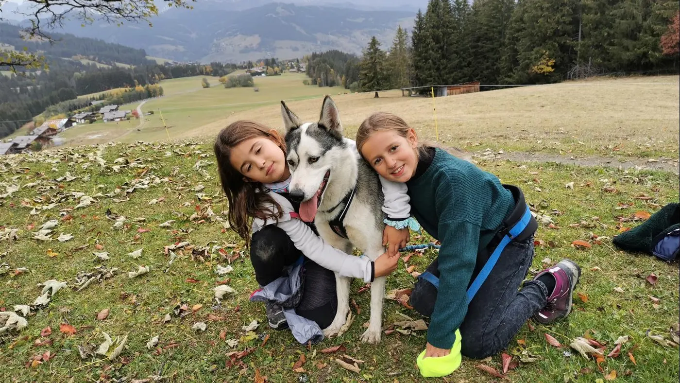 cani_rando_megeve