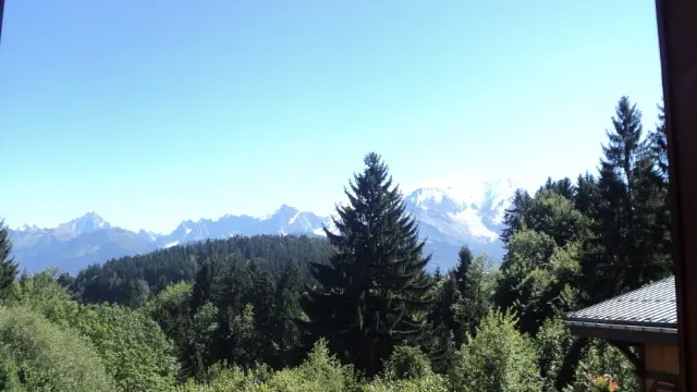Vue Mont-Blanc