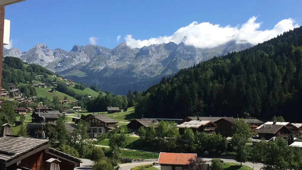 Vue depuis l'appartement été/View from the apartment summer-Danay-Le Grand-Bornand