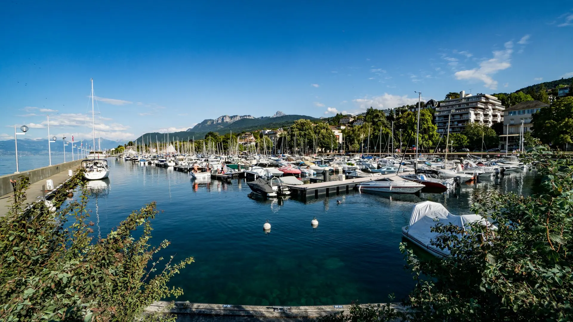 Le port des Mouettes