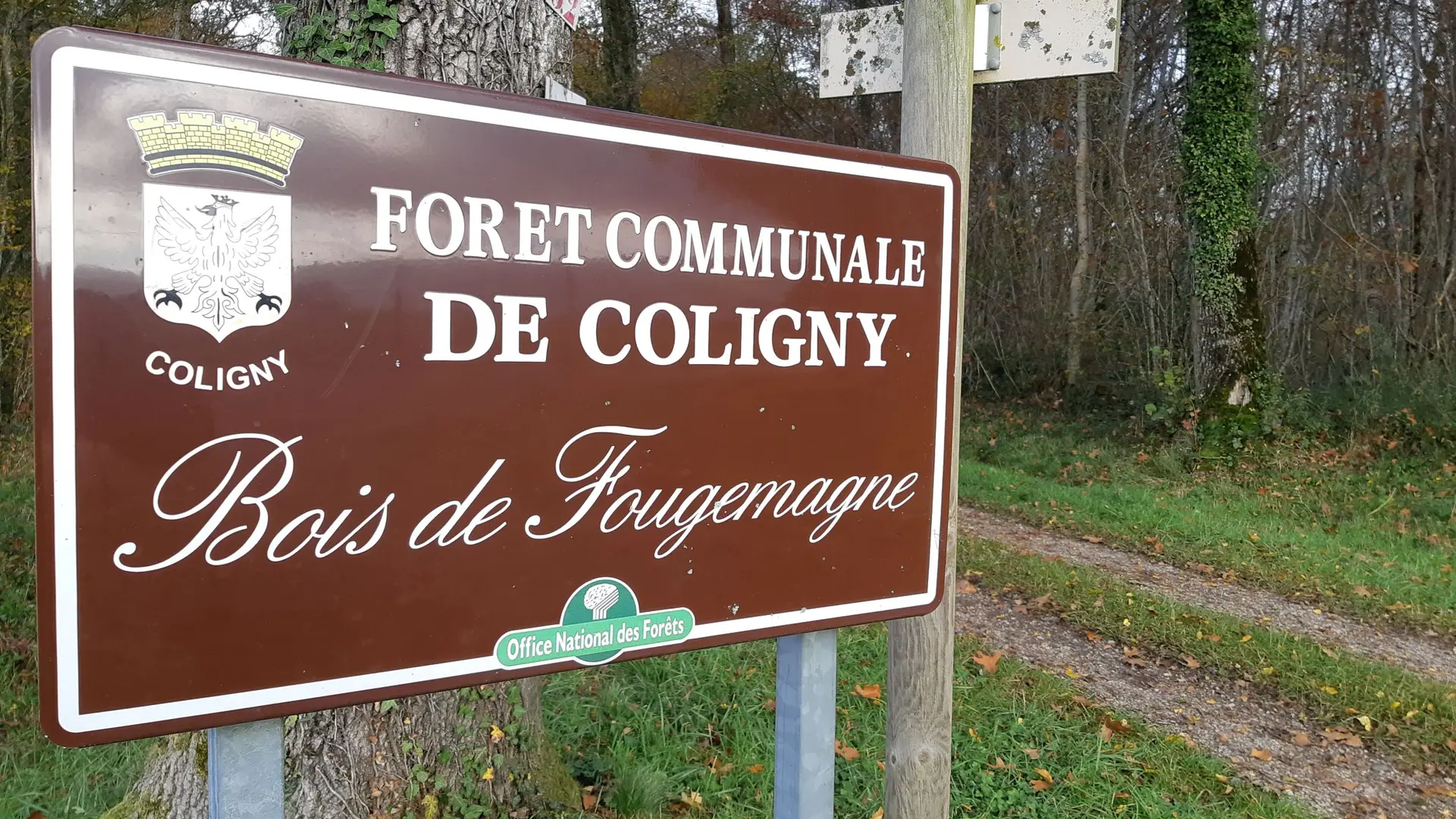 Forêt de Fougemagne