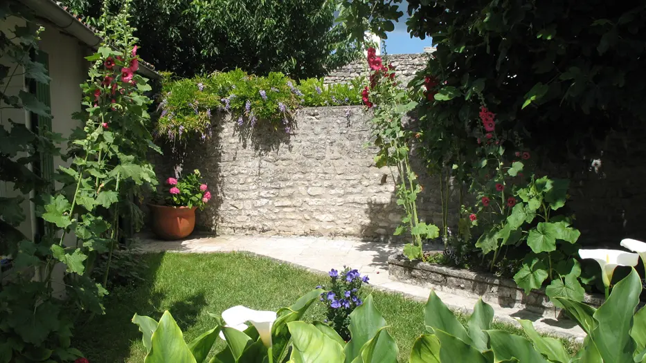 Cour et jardin clos