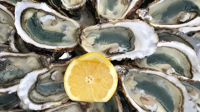 Huîtres