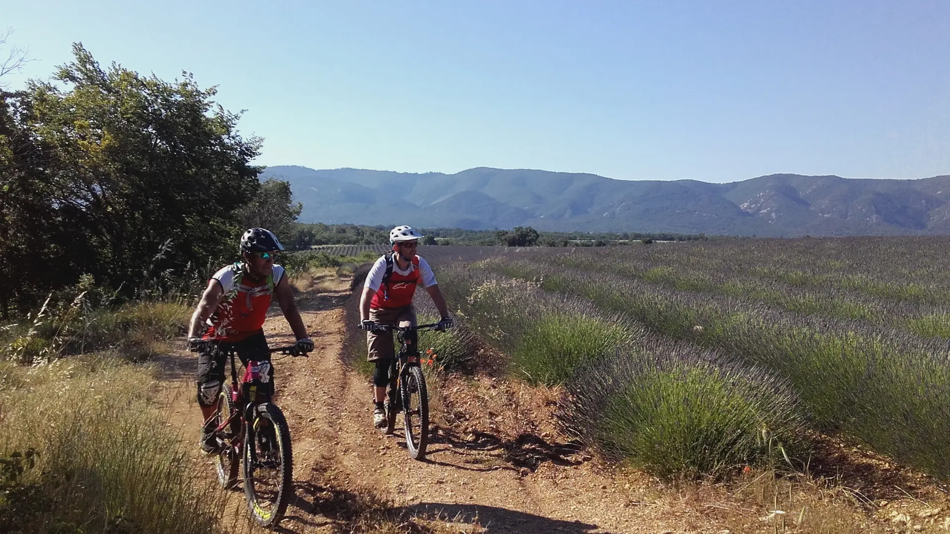 Balade VTT Luberon