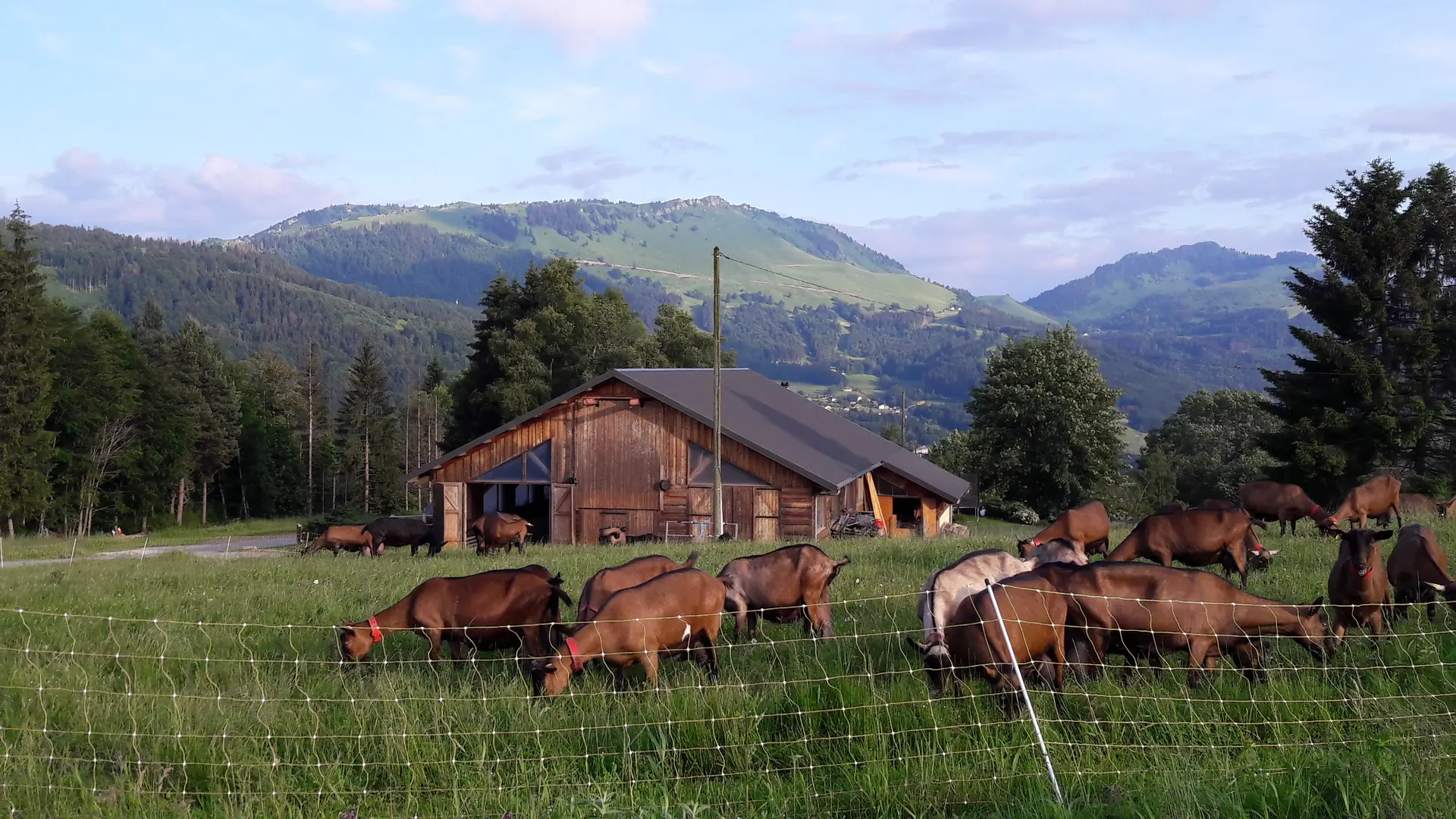 la_ferme_des_moises_habere_poche