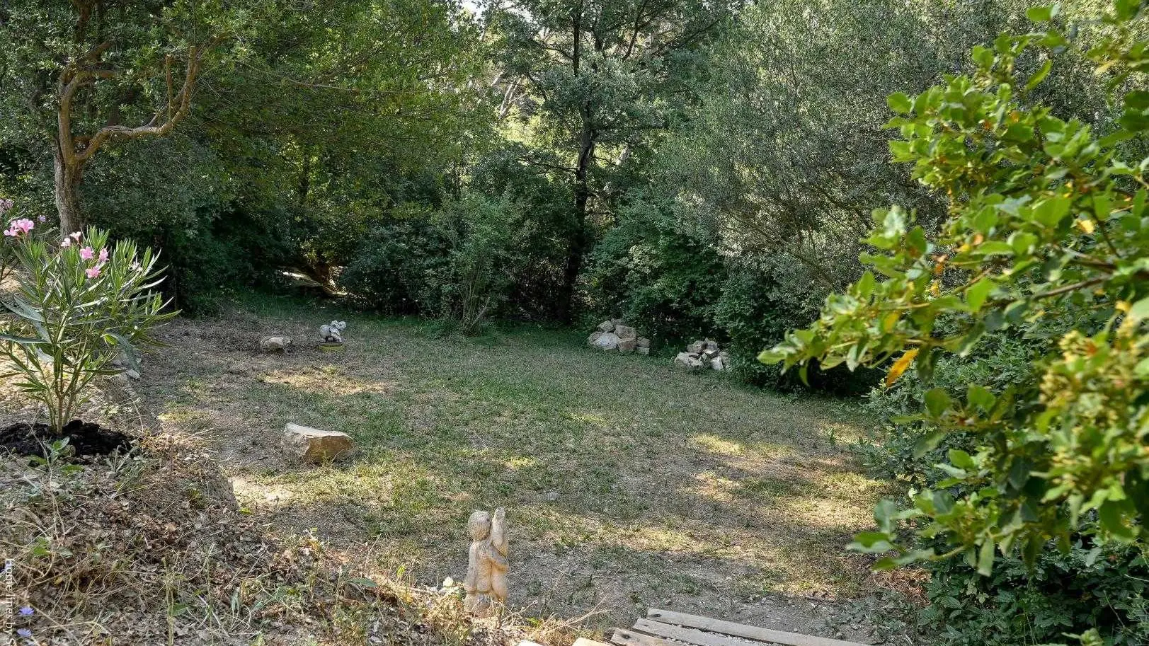 Jardin