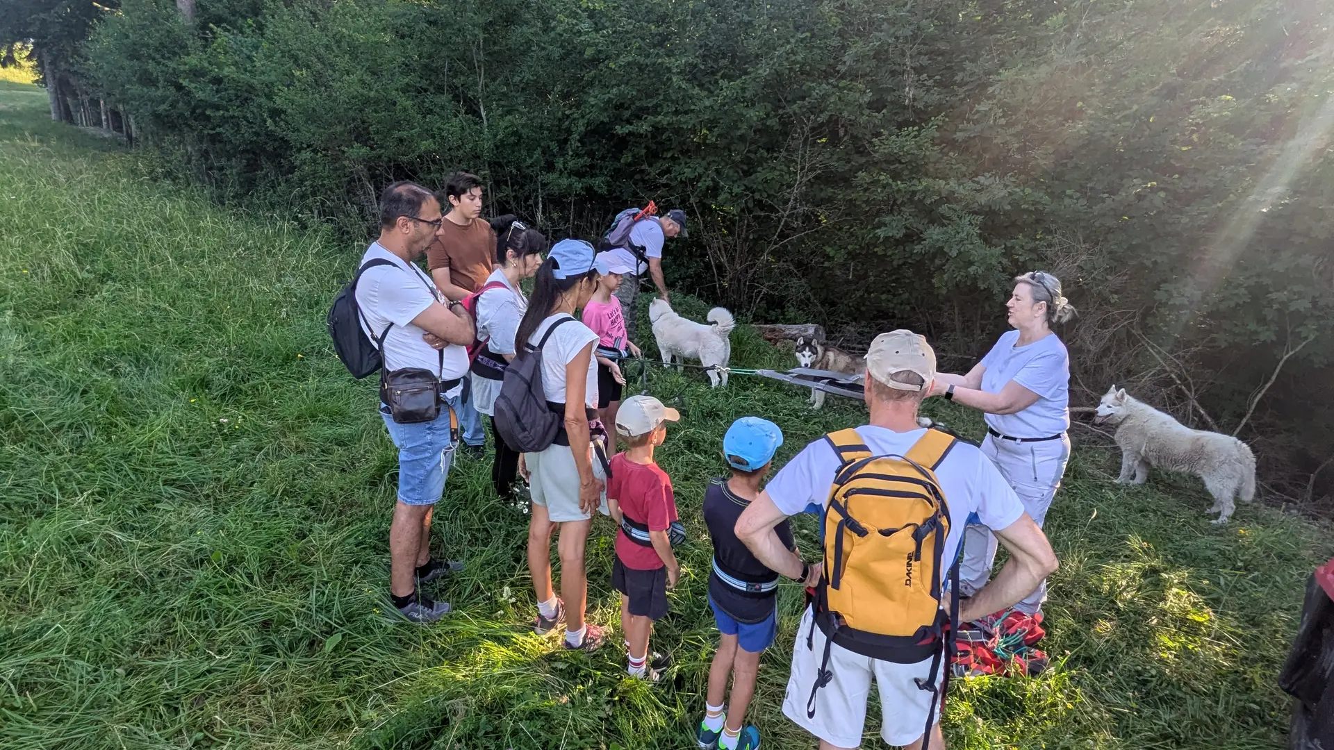 Cani randonnée sur le plateau