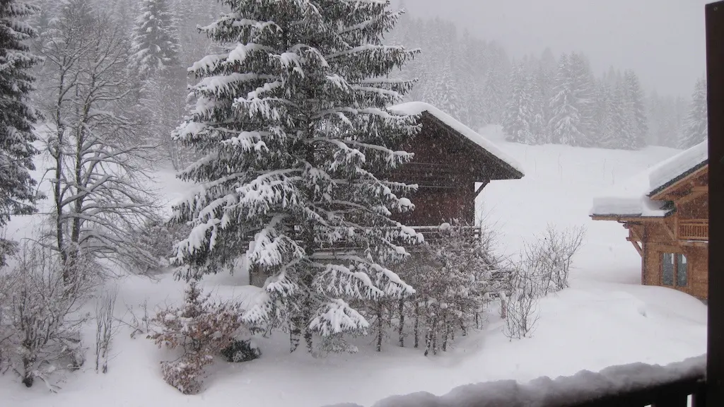 Vue du balcon en hiver