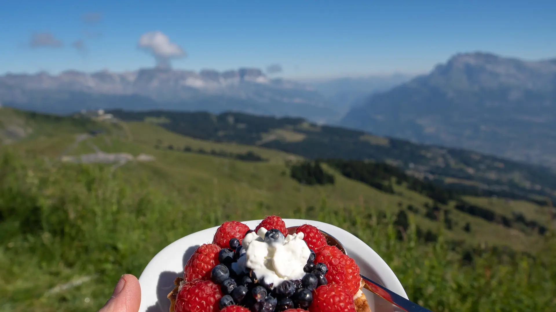 Tarte au Mont Joly