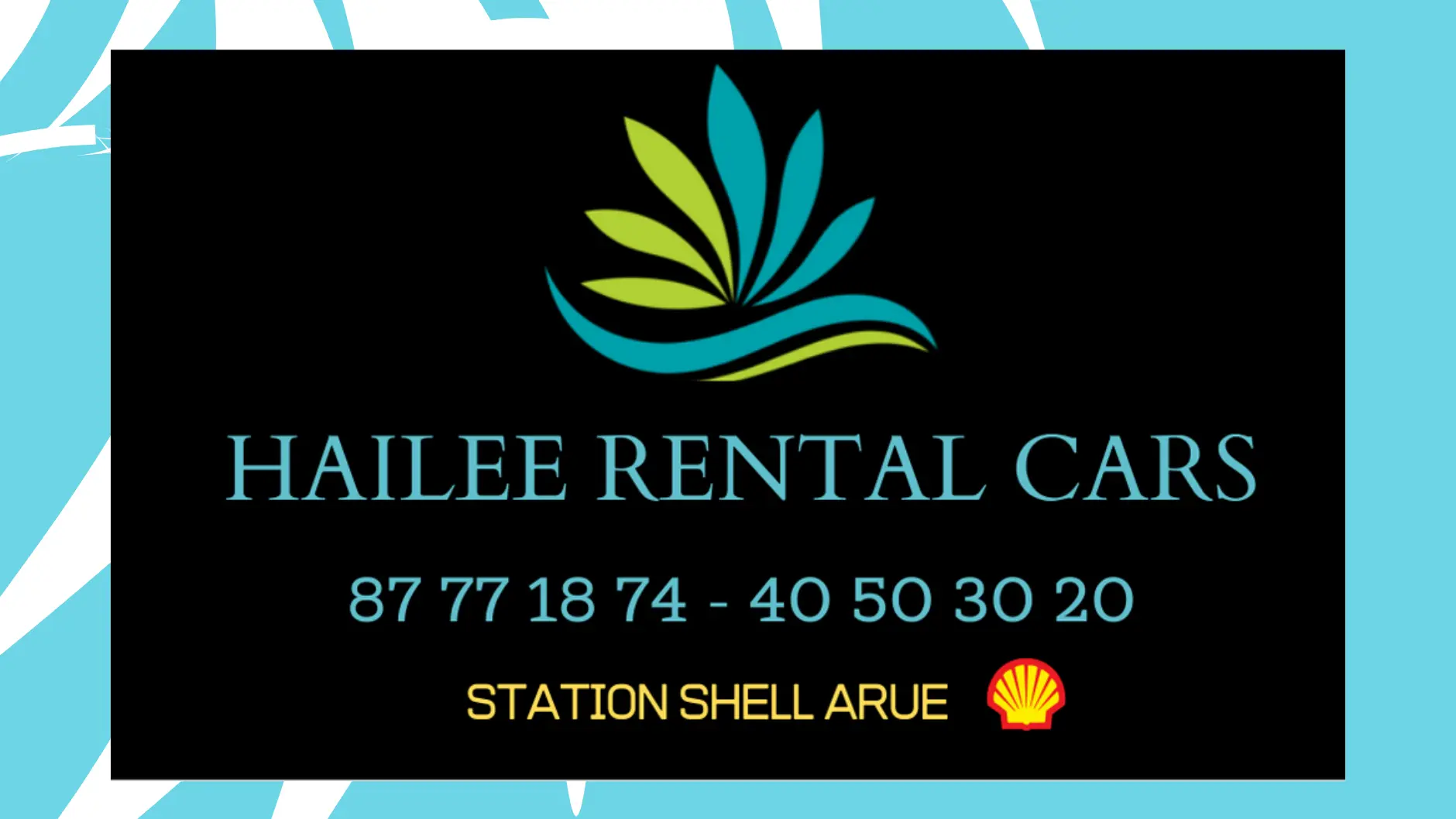 Hailee Rental Cars