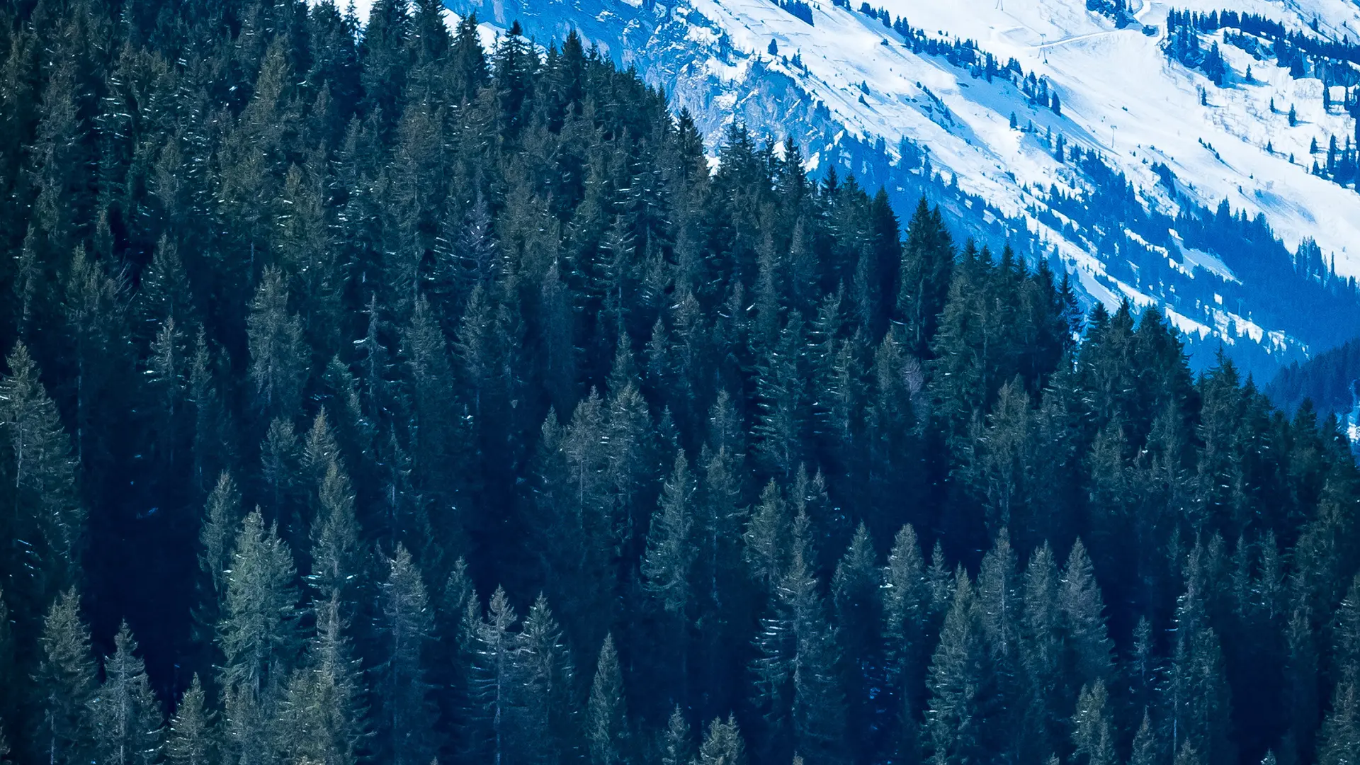 Cours de ski nordique avec un guide