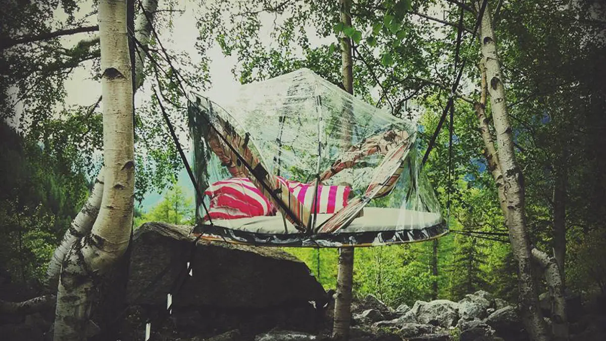 Bulles aux mottets 1