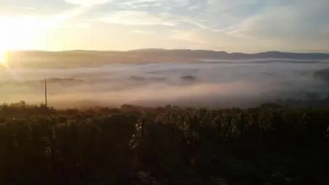 Domaine De La Beliere - Cerdon - Rongier Céline et Gaël