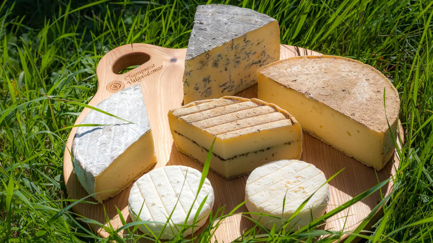 Fromagerie du Champsaur à La Fare-en-Champsaur