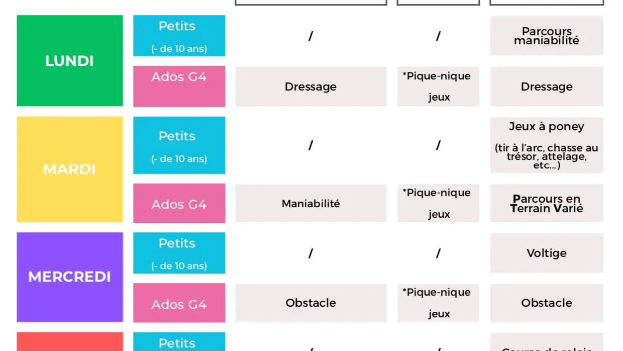 Stages d'été au centre équestre Terre et Ciel_Contrevoz