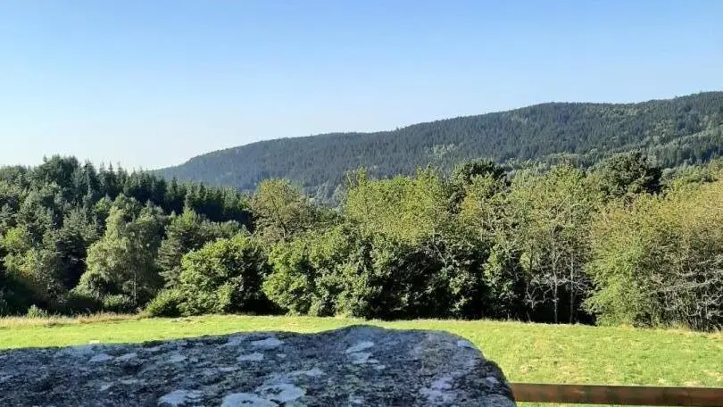 Vue depuis l'espace jardin du gite