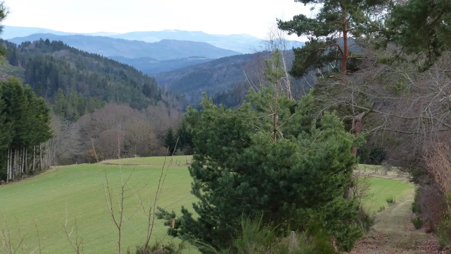 Sentier du Moulin