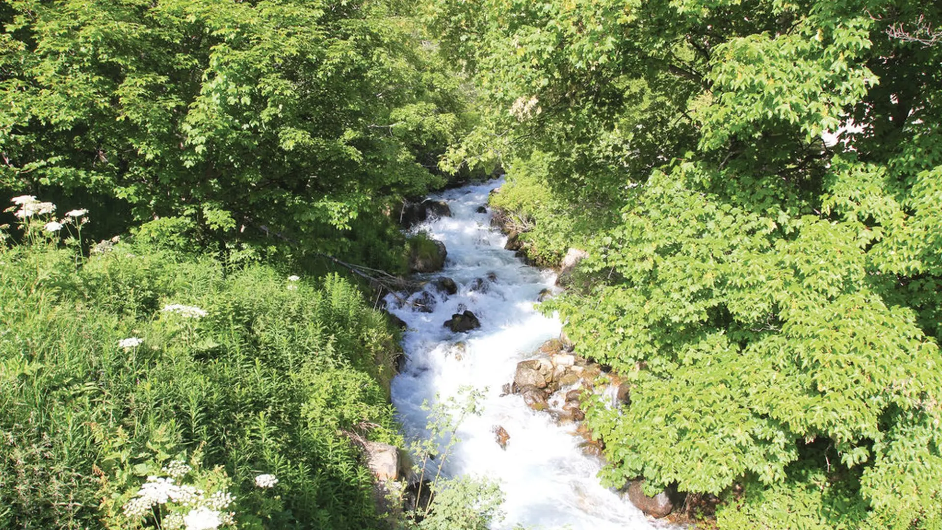 de l'autre coté du chemin qui longe le jardin