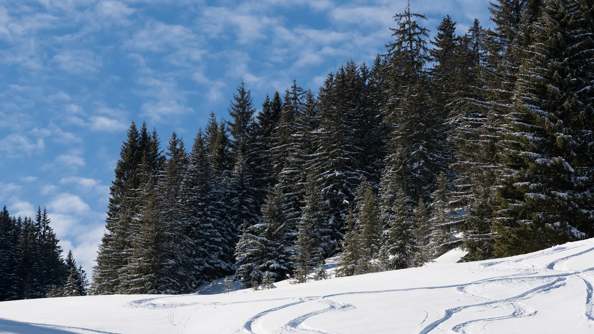 Trace dans la neige profonde