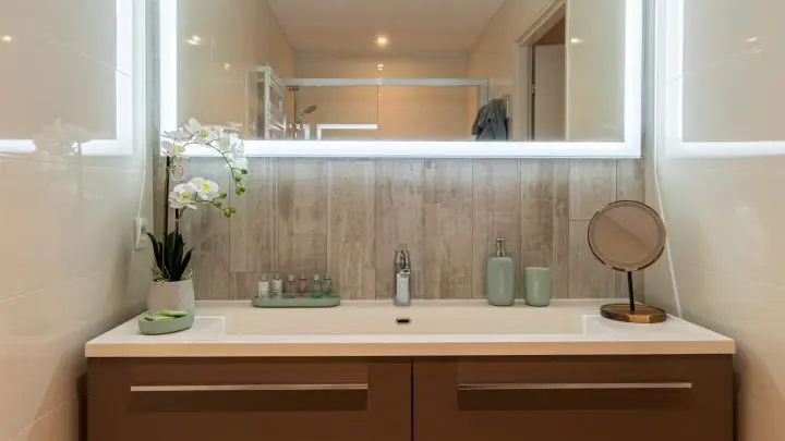 Chambre La Mandallaz - salle d'eau