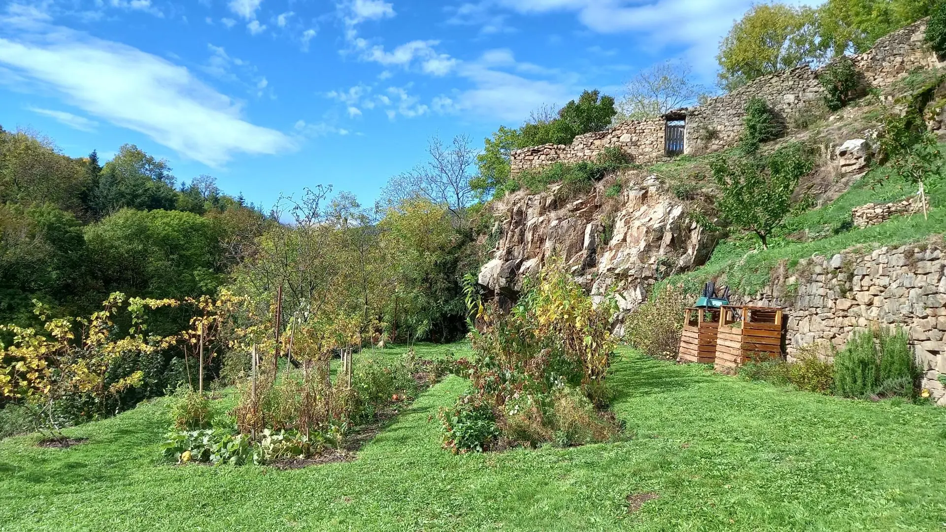 Vue du jardin en automne
