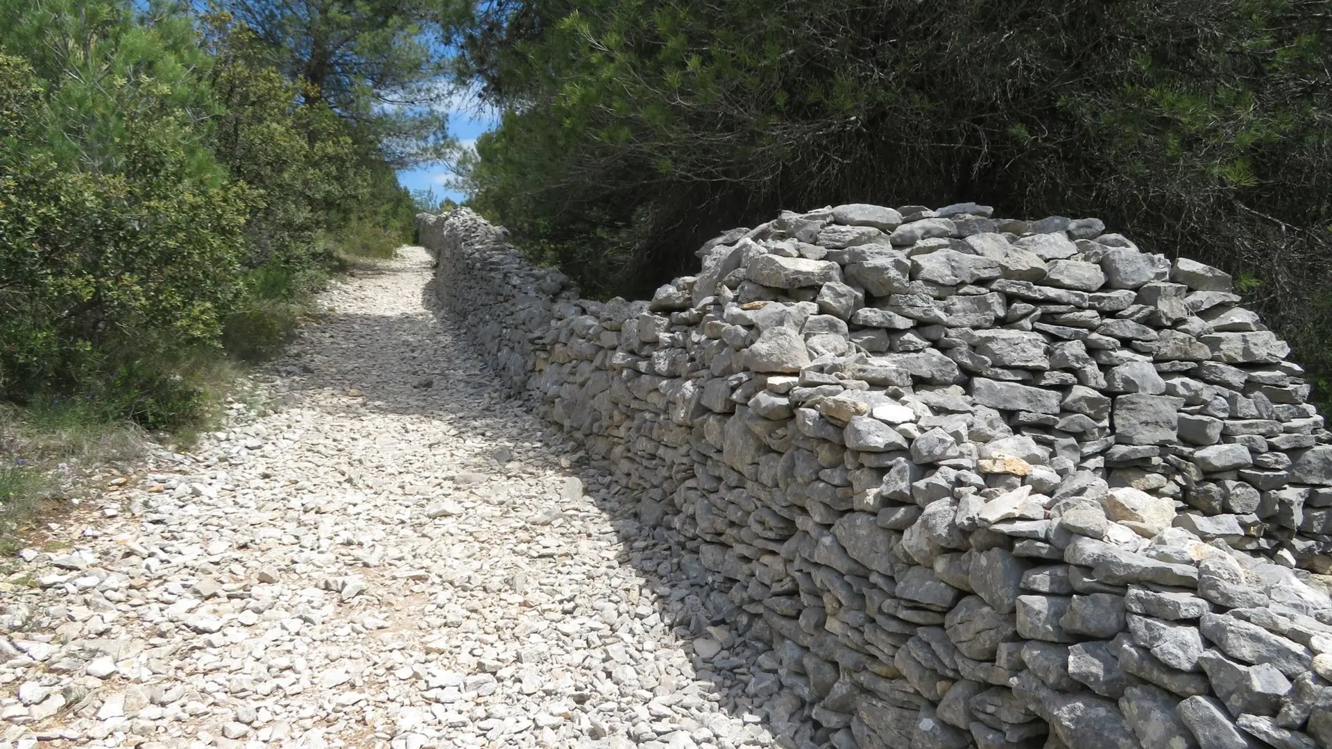 Mur de la peste