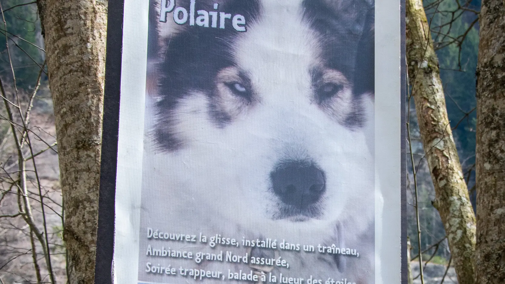 Parc du chien polaire