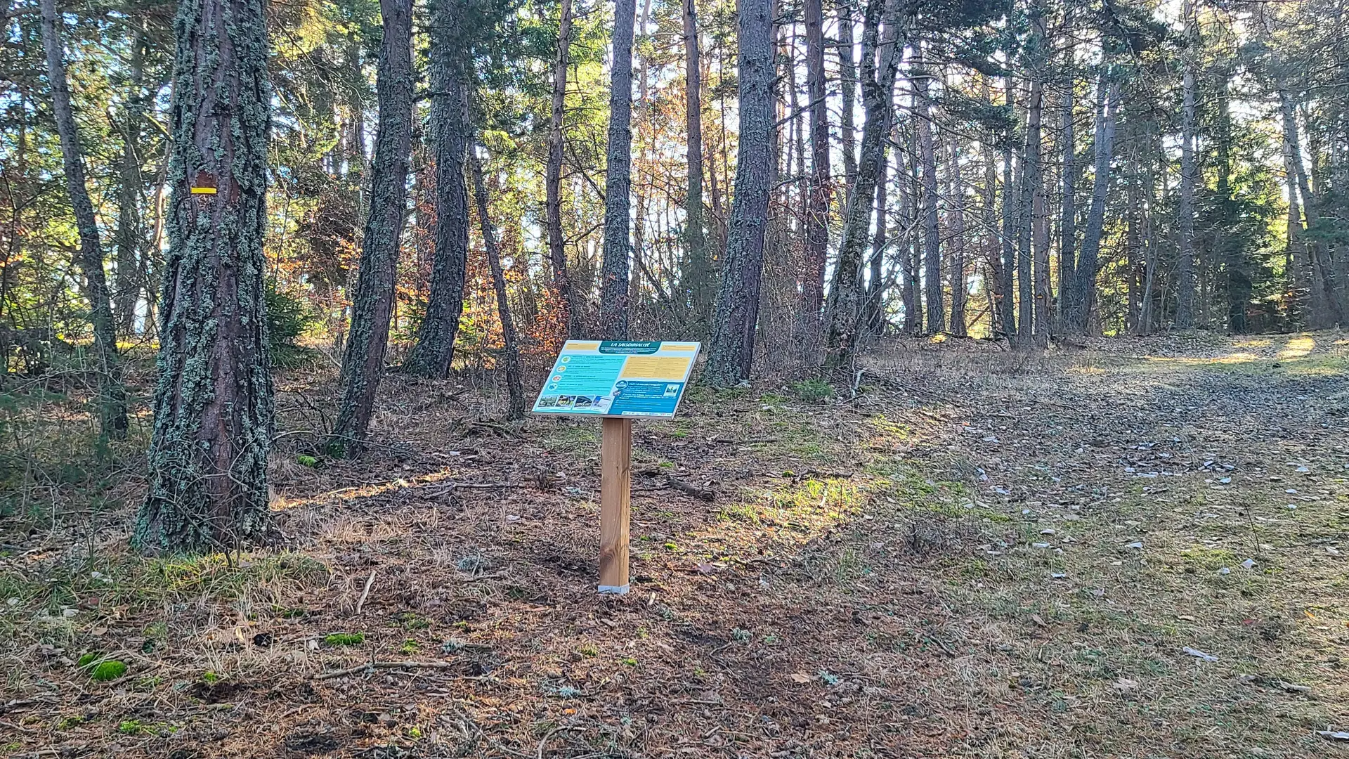 Enquête Game_le chalet_Seyne