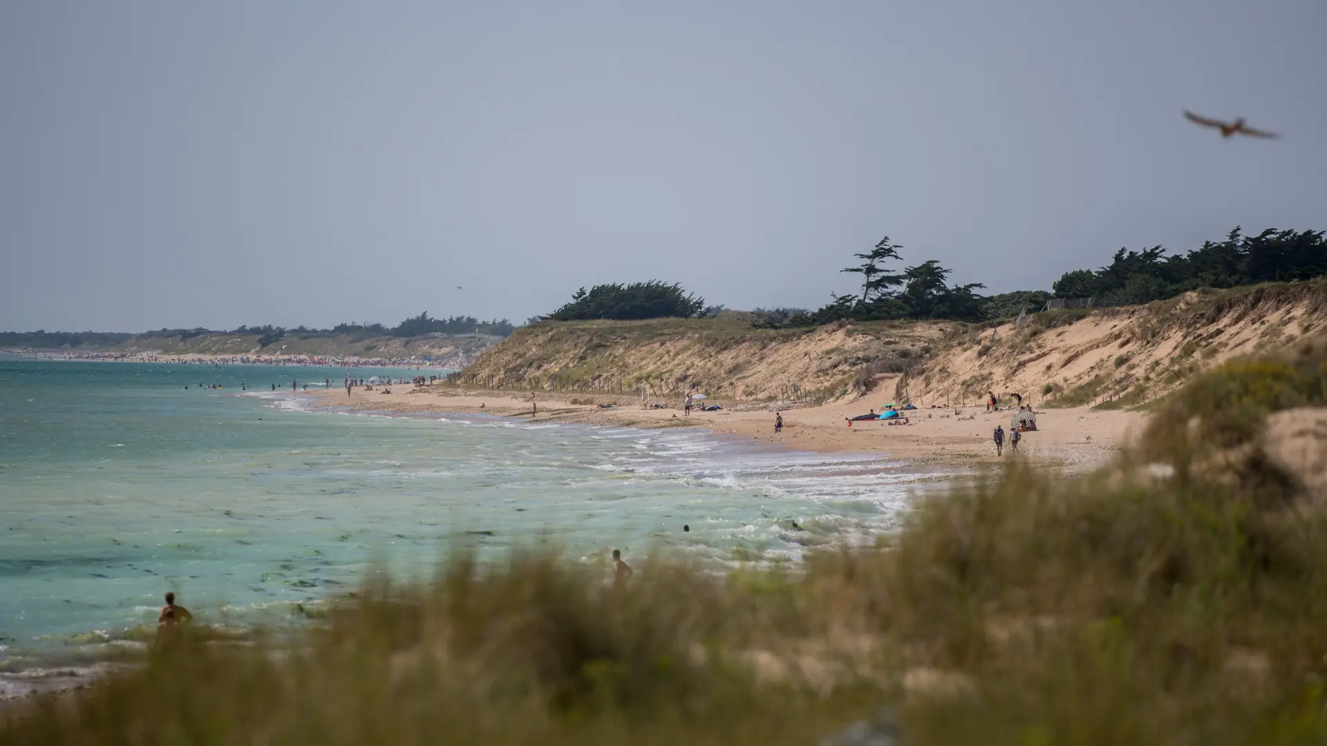 Plage - APV Antioche