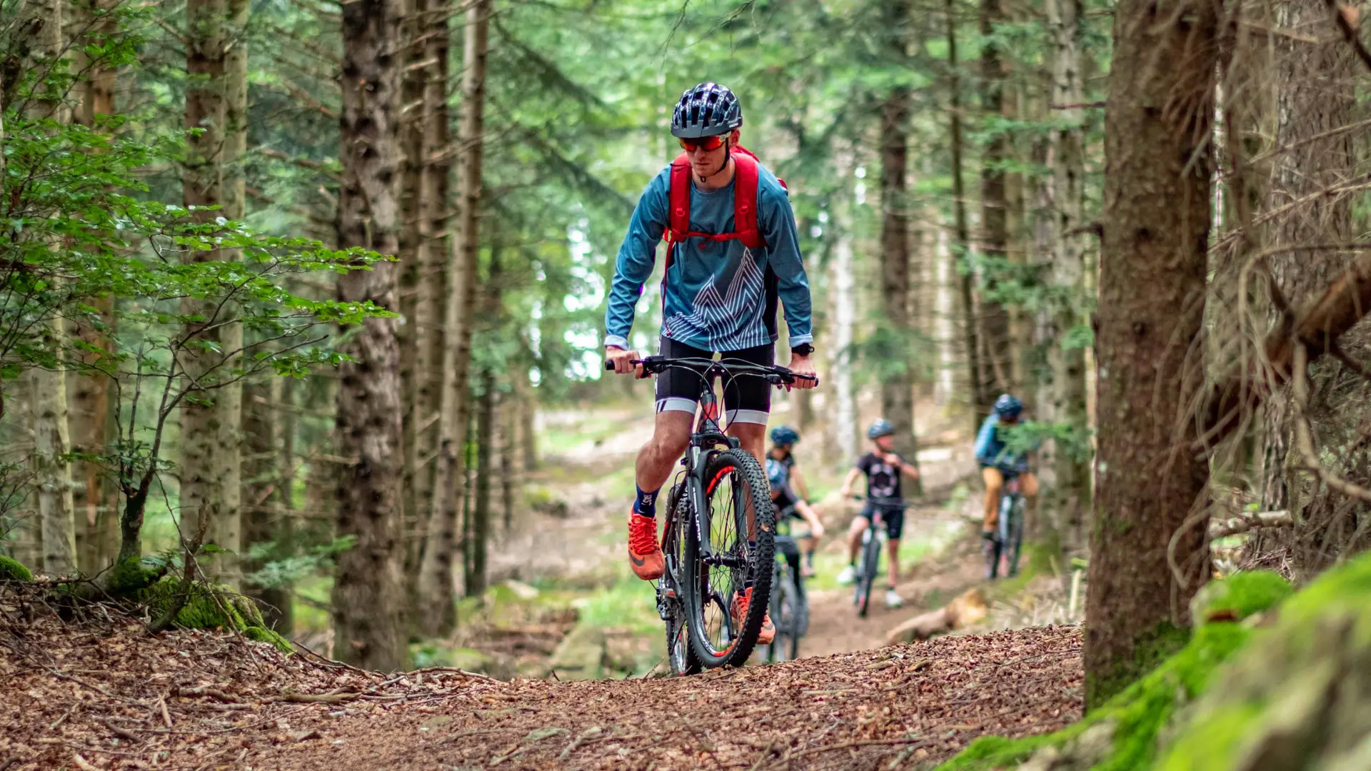Les Bois Noirs à Lavoine