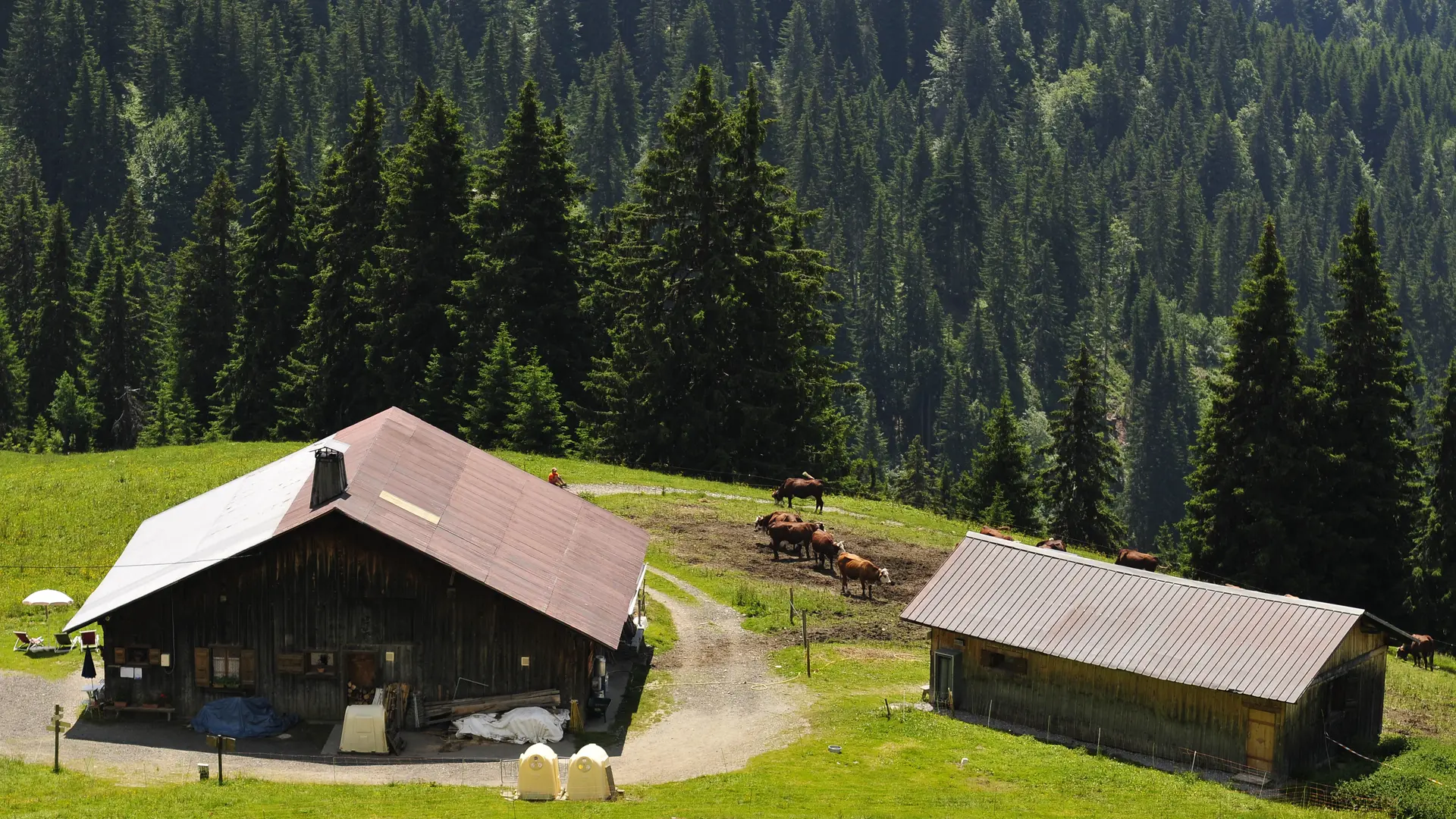 refuge du plan de l'aar