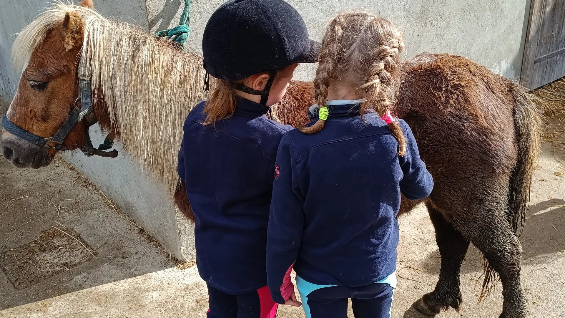 groupe d'enfant s'occupant d'un poney