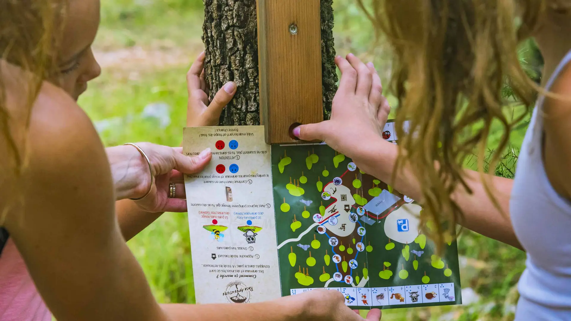 Course d'orientation